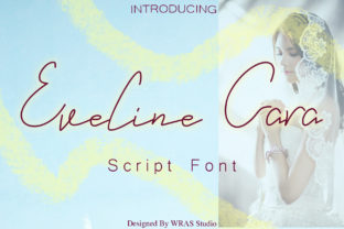 Eveline Cara Font: A Web Designer’s Readability Test