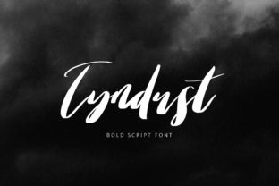 Tyndust Font: Hand-Painted Script for Business Branding