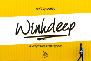 Winkdeep Duo Font Review for Web Design