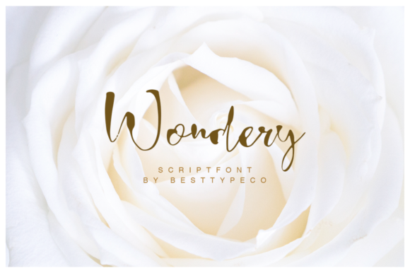 Wondery Font: Authentic Script for Digital Marketing